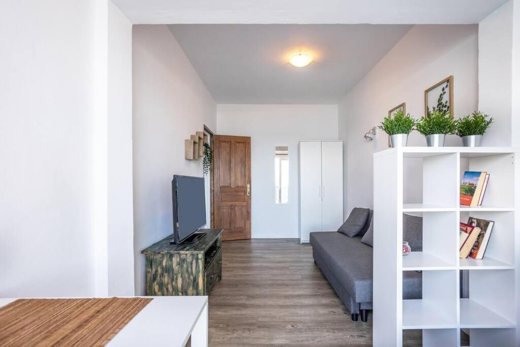 Brisas De Jover Σαν Κριστόμπαλ ντε Λα Λαγούνα Εξωτερικό φωτογραφία